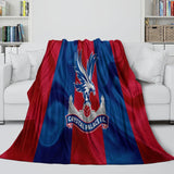 Charger l&#39;image dans la visionneuse de la galerie, Crystal Palace Blanket Flannel Fleece Throw Room Decoration