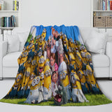 Carica l&#39;immagine nel visualizzatore Galleria, Despicable Me 4 Blanket Flannel Fleece Throw Room Decoration