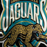 Laden Sie das Bild in den Galerie-Viewer, Jacksonville Jaguars Bedding Set Duvet Cover Without Filler