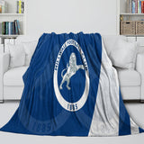 Charger l&#39;image dans la visionneuse de la galerie, Millwall Blanket Flannel Fleece Throw Room Decoration