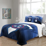 Carica l&#39;immagine nel visualizzatore Galleria, Tennessee Titans Bedding Set Duvet Cover Without Filler